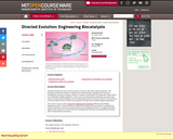 Directed Evolution: Engineering Biocatalysts, Spring 2008