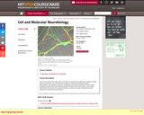 Cell and Molecular Neurobiology, Spring 2008