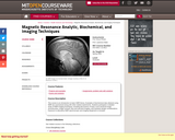 Magnetic Resonance Analytic, Biochemical, and Imaging Techniques, Spring 2006