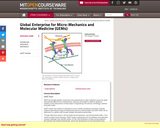 Global Enterprise for Micro-Mechanics and Molecular Medicine (GEM4), Summer 2006