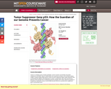 Tumor Suppressor Gene: How the Guardian of our Genome Prevents Cancer, Fall 2010