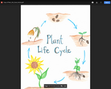 Plant_Life_Cycle_Anchor