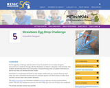 Strawbees Egg Drop Challenge