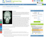 Skeletal System Overview