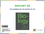 Biology I Course Content, Phylogenies and the History of Life, Phylogenies and the History of Life Resources