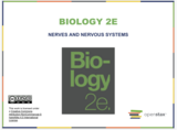 Biology I Course Content, The Nervous System, The Nervous System Resources