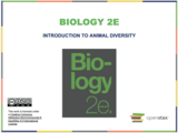 Biology I Course Content, Introduction to Animal Diversity, Introduction to Animal Diversity Resources