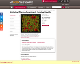 Statistical Thermodynamics of Complex Liquids, Spring 2004