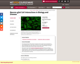 Neuron-glial Cell Interactions in Biology and Disease, Spring 2007