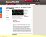 RNA Interference: A New Tool for Genetic Analysis and Therapeutics, Fall 2004