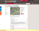 Cell and Molecular Neurobiology, Spring 2008