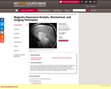 Magnetic Resonance Analytic, Biochemical, and Imaging Techniques, Spring 2006