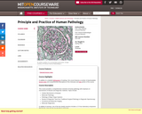 Principle and Practice of Human Pathology, Spring 2003
