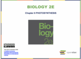Biology II Course Content, Photosynthesis Introduction, Photosynthesis Introduction Resources