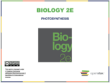 Biology I Course Content, Photosynthesis Introduction, Photosynthesis Introduction Resources