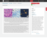 OpenStax Biology 2e, The Cell, Cell Structure, Introduction