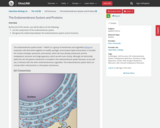 OpenStax Biology 2e, The Cell, Cell Structure, The Endomembrane System and Proteins