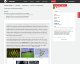 OpenStax Biology 2e, The Cell, Photosynthesis, Overview of Photosynthesis