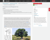 OpenStax Biology 2e, Evolutionary Processes, Phylogenies and the History of Life, Perspectives on the Phylogenetic Tree