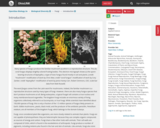 OpenStax Biology 2e, Biological Diversity, Fungi, Introduction
