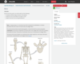 OpenStax Biology 2e, Animal Structure and Function, The Musculoskeletal System, Bone