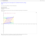 Developing the Concept of a Determinant using DGS