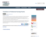 Transitions to Professional Nursing Practice - 2nd Edition
