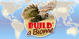 Build a Biome