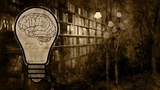 Science of Reading Resources