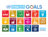 UN Sustainable Development Goals Unit Plan