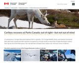 Caribou recovery at Parks Canada: out of sight—but not out of mind