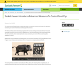 Saskatchewan Introduces Enhanced Measures To Control Feral Pigs