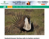 Saskatchewan facing calls to better protect wildlife habitats