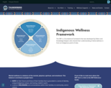 Indigenous Wellness Framework