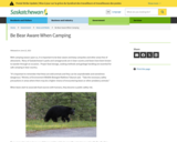 Be Bear Aware When Camping