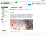 Connective Tissue - The Definitive Guide