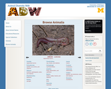 Animal Diversity Web