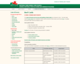 Codes of Practice for the care and handling of beef cattle