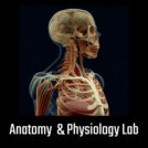 Anatomy & Physiology VR Lab