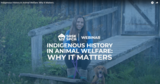 Indigenous History in Animal Welfare: Why It Matters