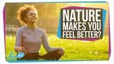 Why Does Nature Make You Feel Better?