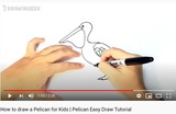 Pelican Easy Draw Tutorial - YouTube