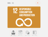 SDG 12