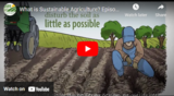 What is Sustainable Agriculture? Episode 3: Conservation Tillage and Soil Health