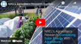 NREL’s Agrivoltaics Research: Combining Solar Energy With Agriculture