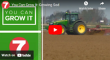 You Can Grow It: Growing Sod