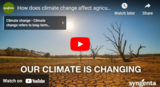 How does climate change affect agriculture?
