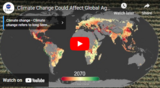 Climate Change Could Affect Global Agriculture Within 10 Years
