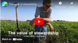 The value of stewardship