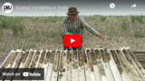 Spatial Variability in Soils
